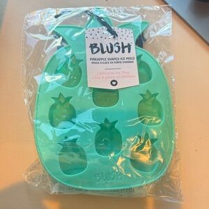 NWT Blush Mint Silicone Pineapple Ice Tray